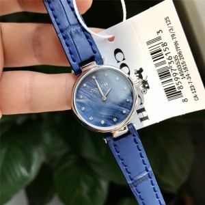 COACH/蔻驰美国官网代购新款腕表PARK系列真皮珍珠母贝石英女表手表