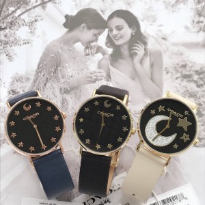 COACH/蔻驰中国官网代购女款腕表新款星月石英女士真皮正品手表